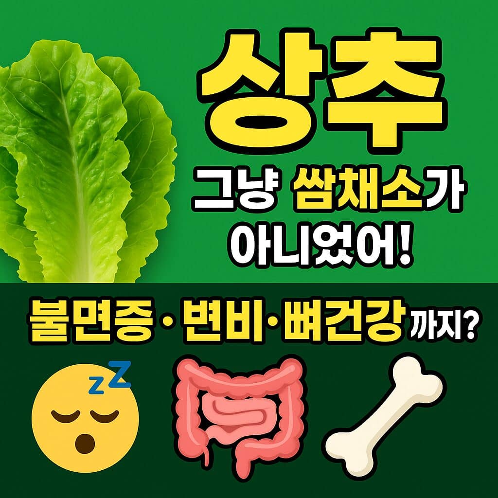 ChatGPT Image 2025년 7월 8일 오전 11 14 50 1