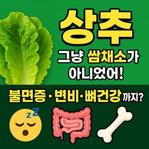 상추 이렇게 드세요 매일 먹으면 놀라운 변화 5가지 2 상추의 건강 효능 소개