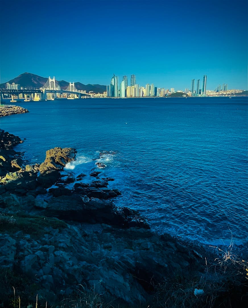 a body of water with a bridge and a city in the background