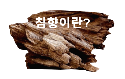 침향 沈香 이란? 침향의효능과 섭취시 주의사항? 1 blob